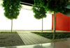 Red tree 2
